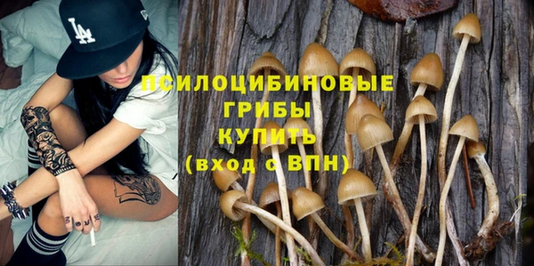 дживик Вяземский